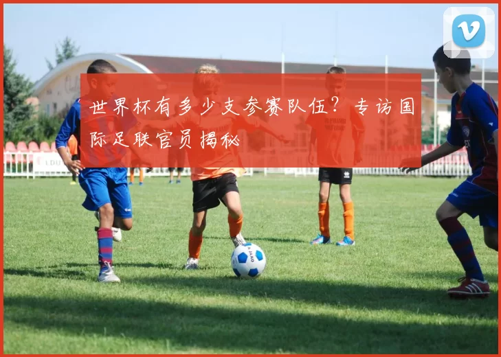 世界杯有多少支参赛队伍？专访国际足联官员揭秘