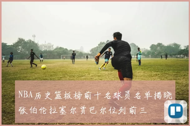 NBA历史篮板榜前十名球员名单揭晓张伯伦拉塞尔贾巴尔位列前三