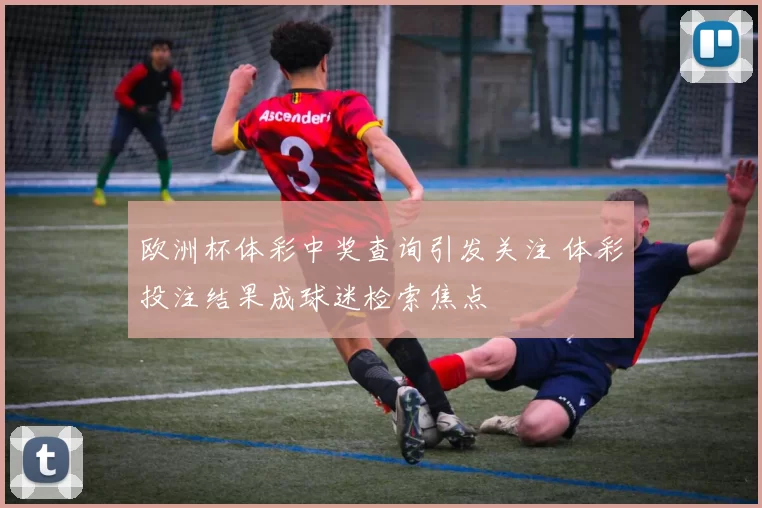欧洲杯体彩中奖查询引发关注 体彩投注结果成球迷检索焦点