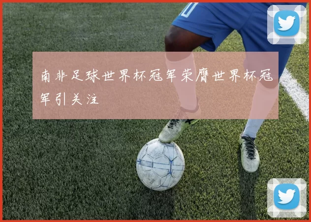 南非足球世界杯冠军荣膺世界杯冠军引关注
