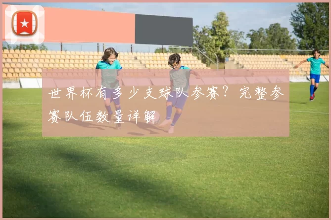 世界杯有多少支球队参赛?完整参赛队伍数量详解