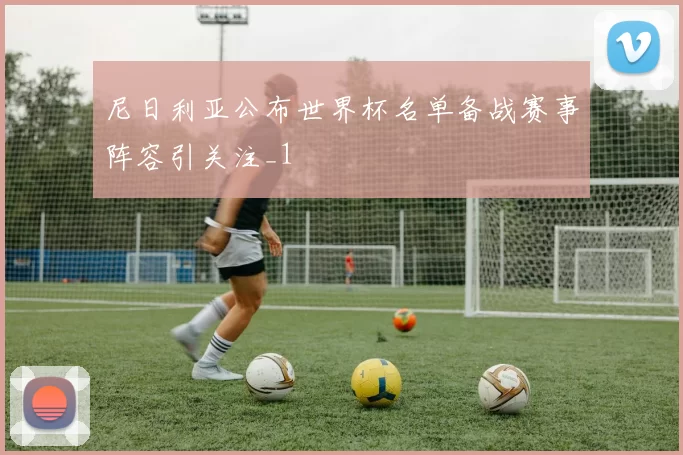 尼日利亚公布世界杯名单备战赛事阵容引关注_1
