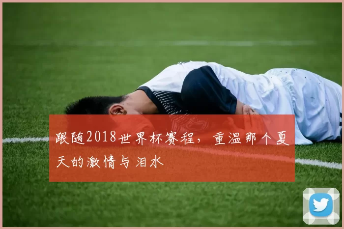 跟随2018世界杯赛程，重温那个夏天的激情与泪水
