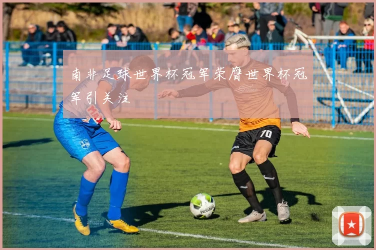 南非足球世界杯冠军荣膺世界杯冠军引关注