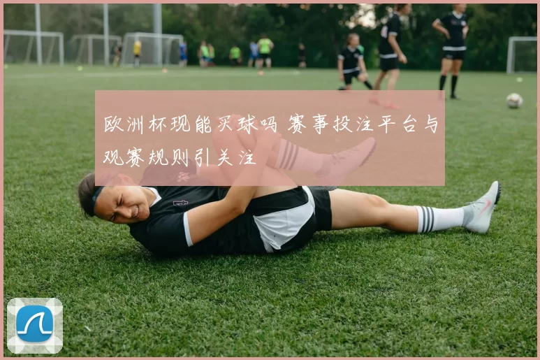 欧洲杯现能买球吗 赛事投注平台与观赛规则引关注