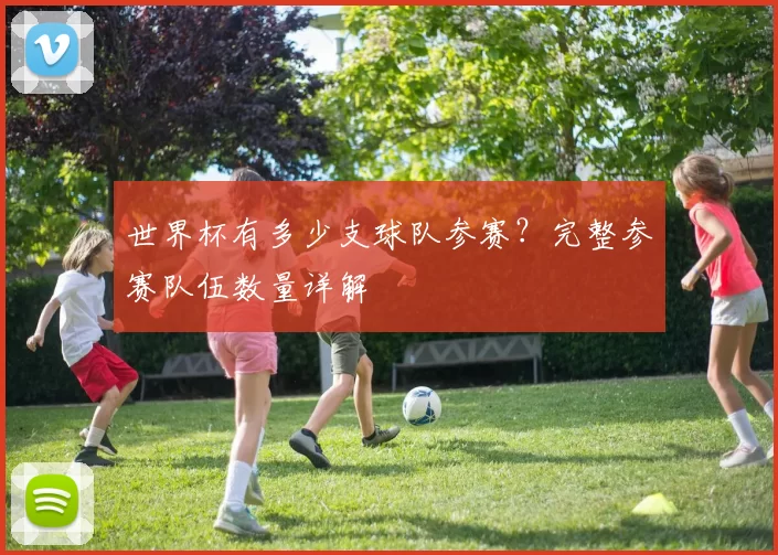 世界杯有多少支球队参赛?完整参赛队伍数量详解