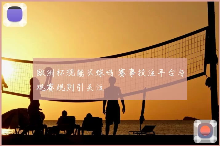 欧洲杯现能买球吗 赛事投注平台与观赛规则引关注